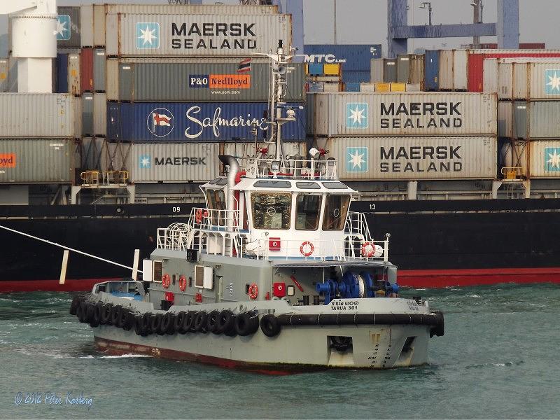 Tarua 301