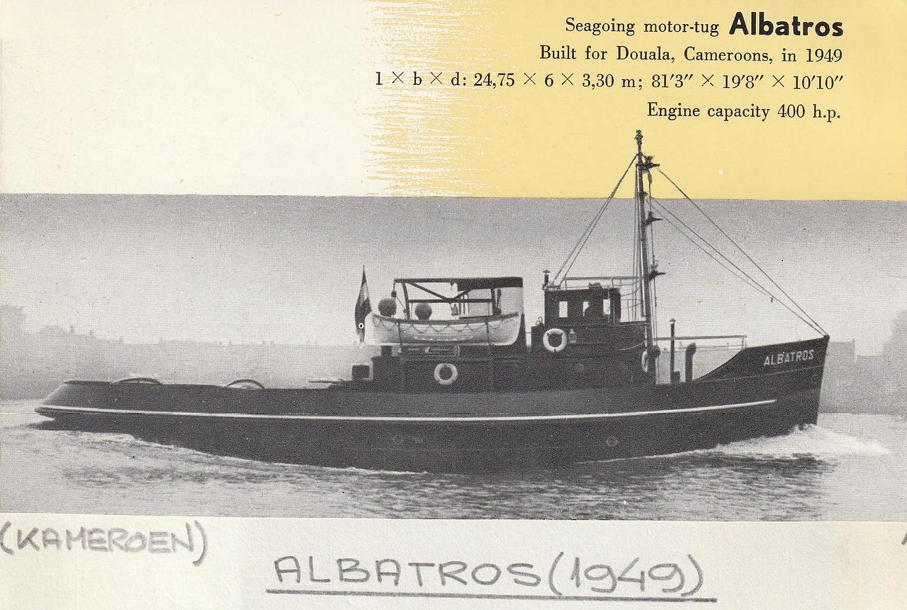 Albatros