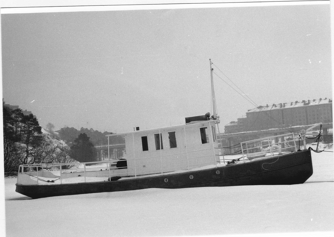 Wiktoria II