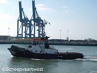 Samsun Tug