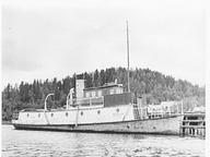Ellinor