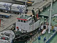 Captain Dimitris