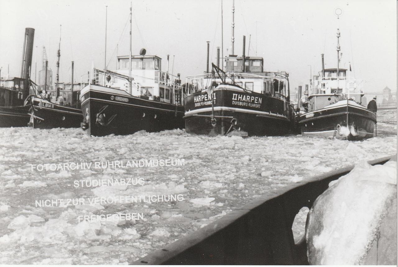 Elbia II