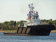 Thorax-12