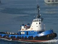 Cms Sealion