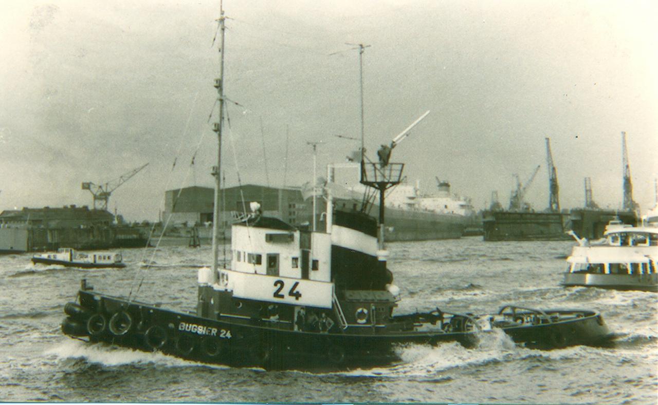 Albatros
