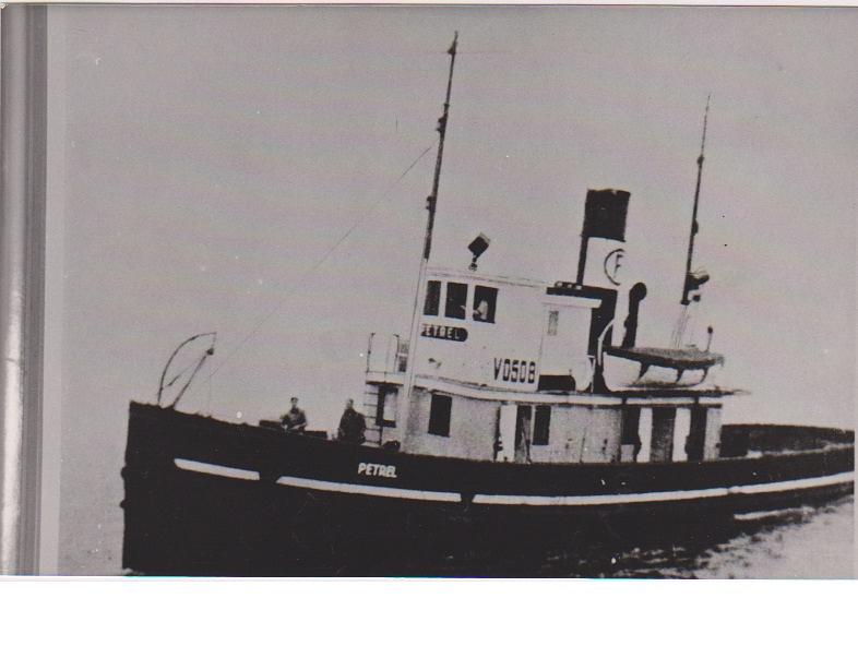 Petrel (V0508)