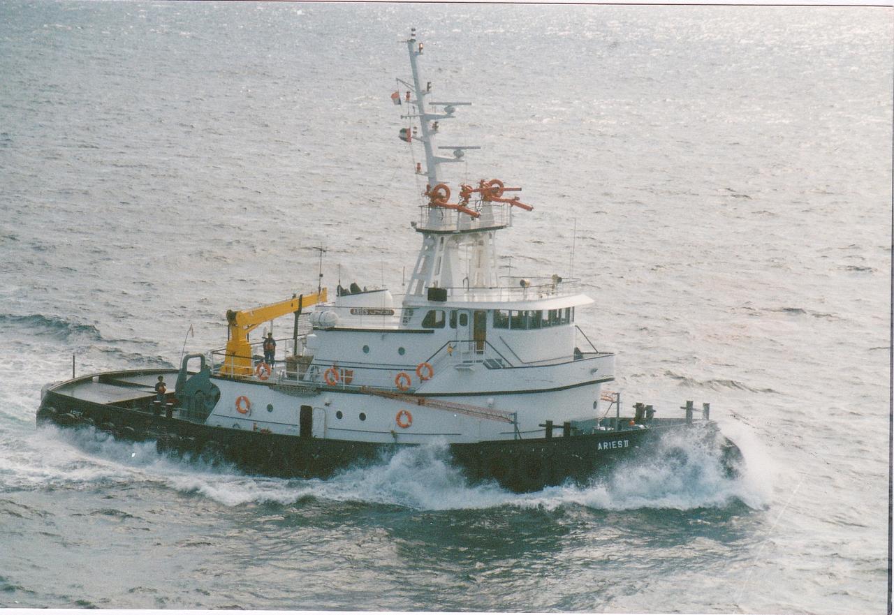 Sea Diamond XV