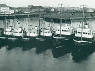 Viking Polar