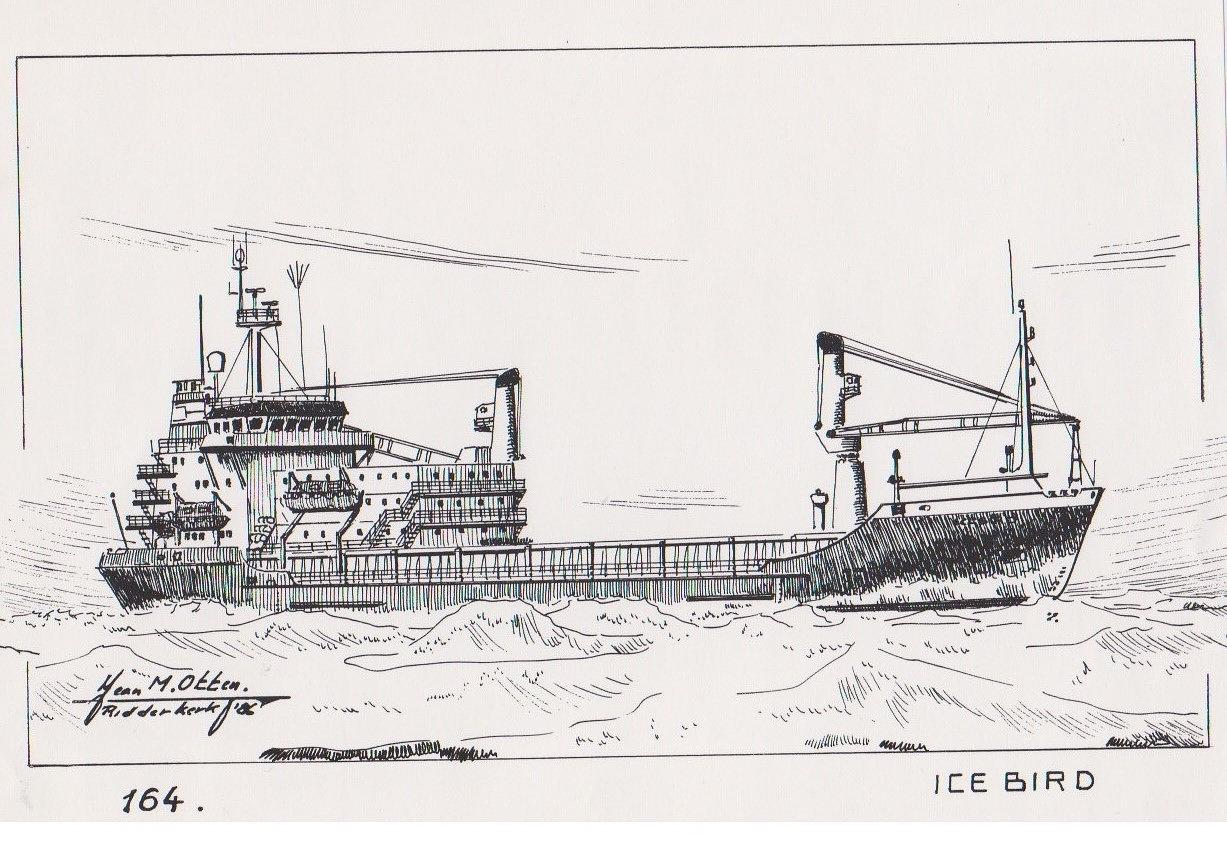 Icebird