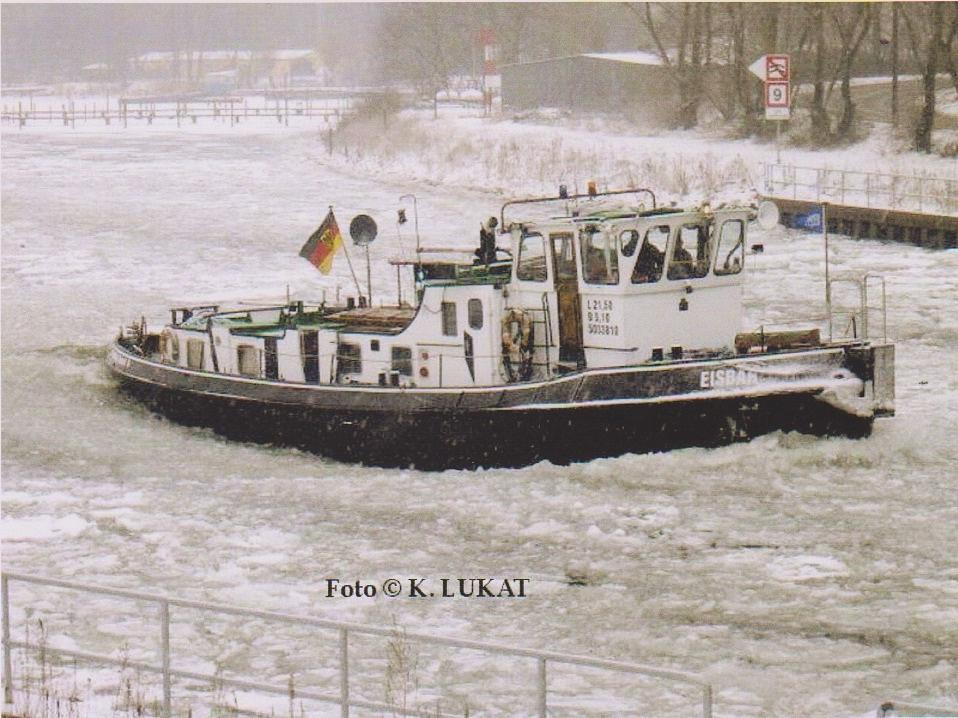 Eisbar
