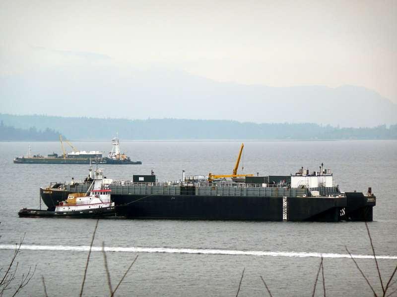 Sea Hawk