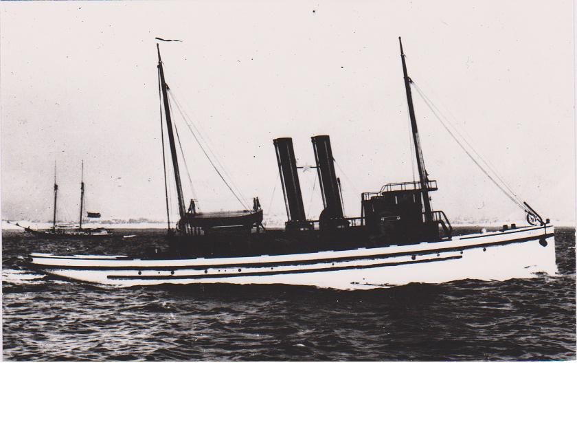 Pauli