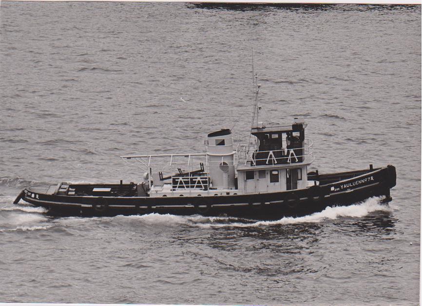 Yau Luen Nr. 7