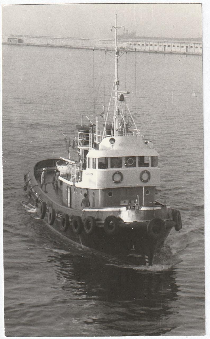 Dalmazia