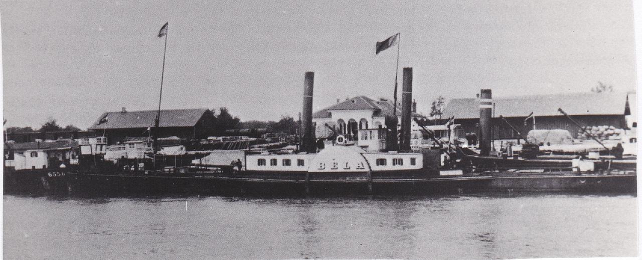 Bela