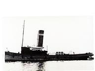 Napia