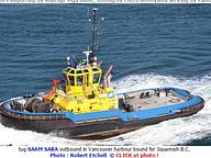 Saam Saba
