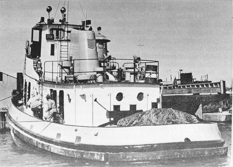 Tiburon
