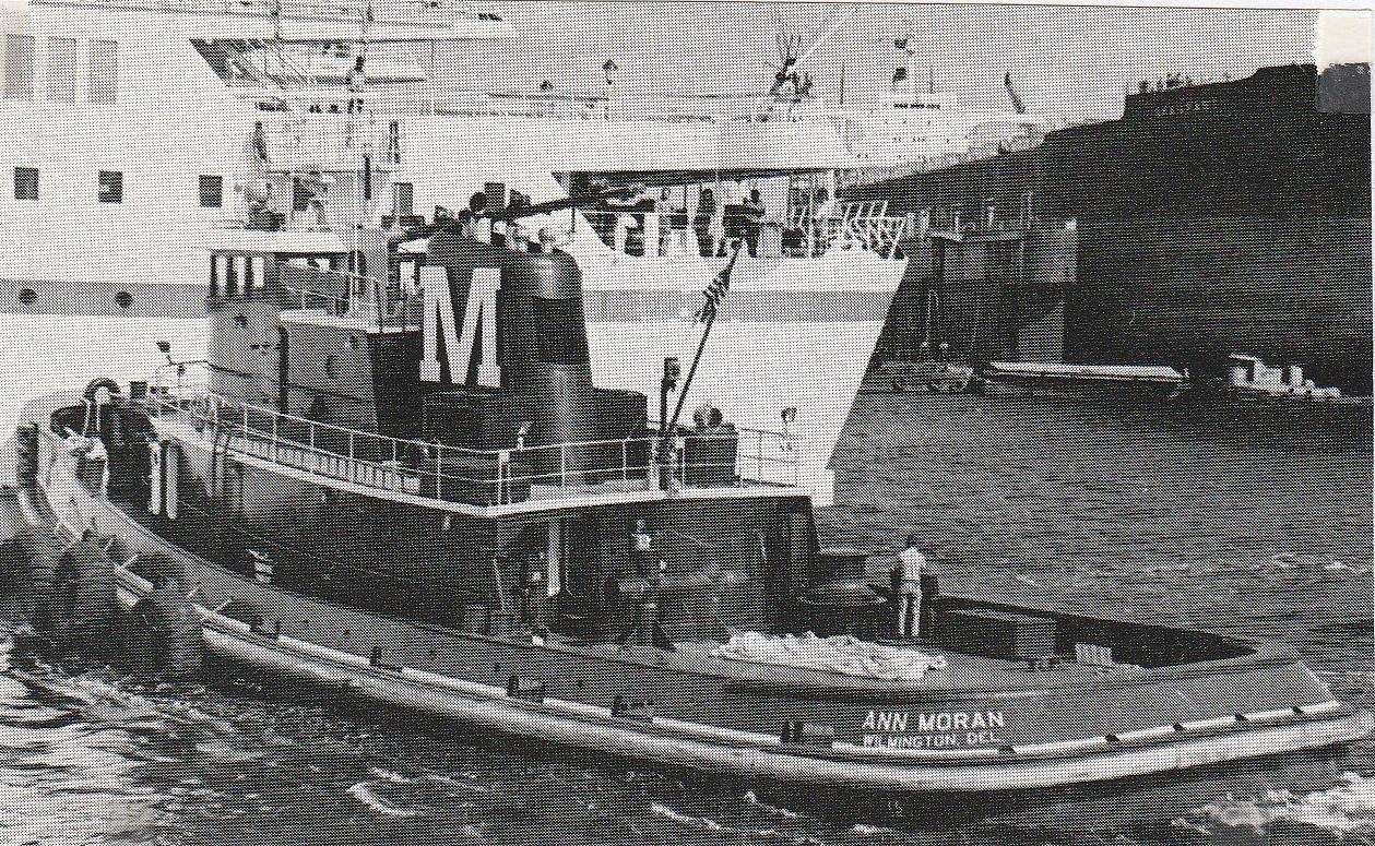 Ann Moran