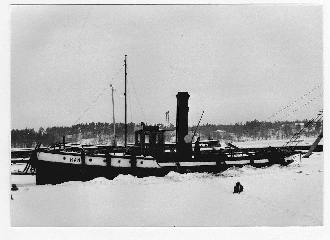 Hedvig
