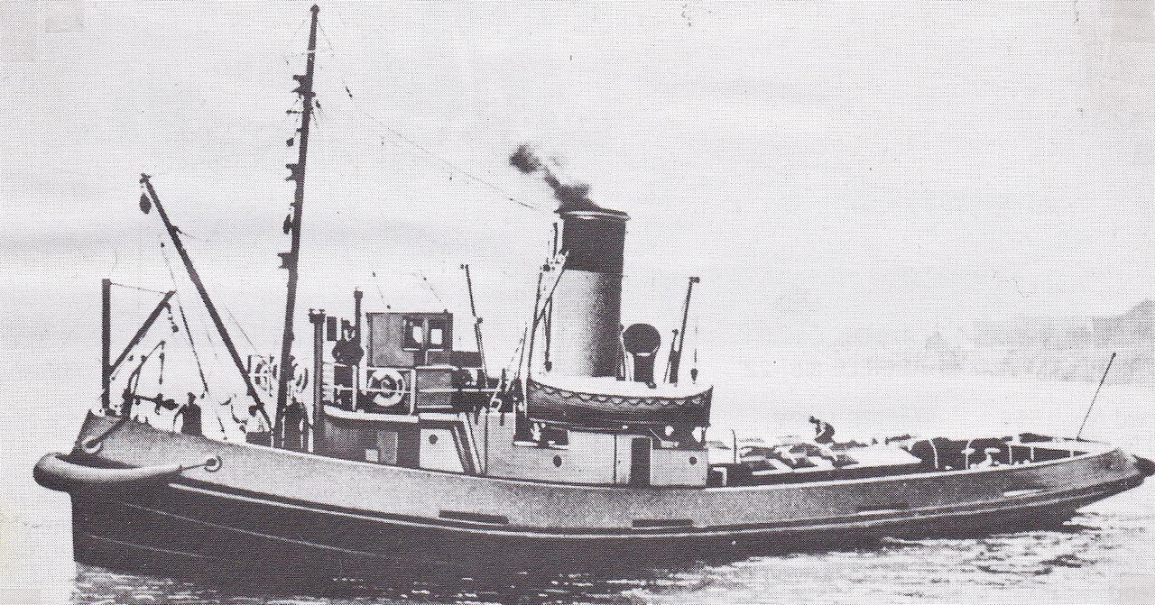 Tarpan