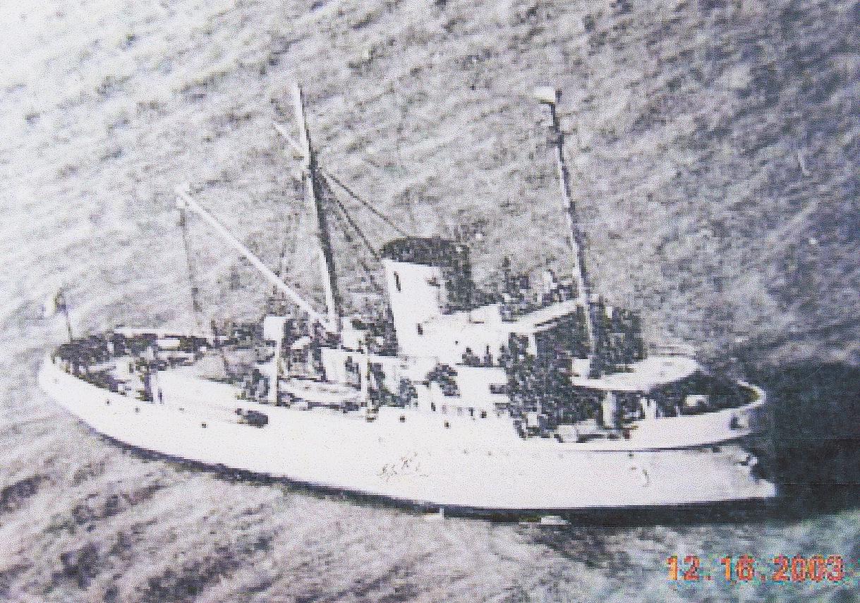Goyena (A 3)
