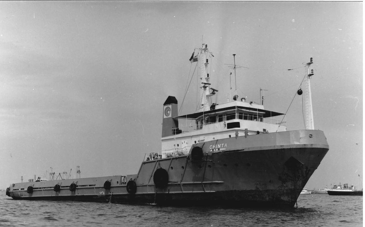 Pacific Lion