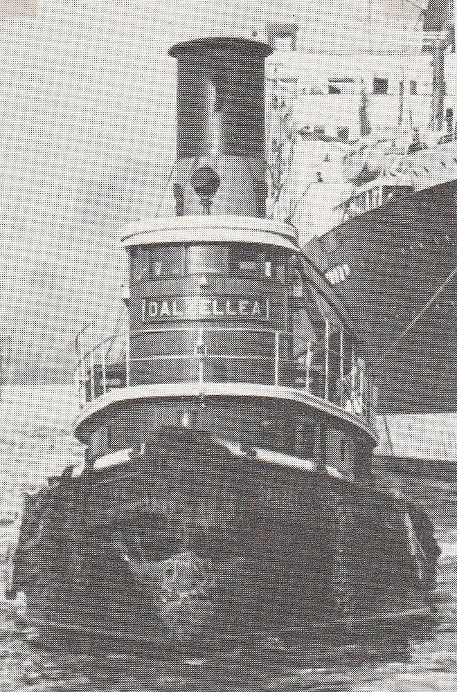 Dalzellea