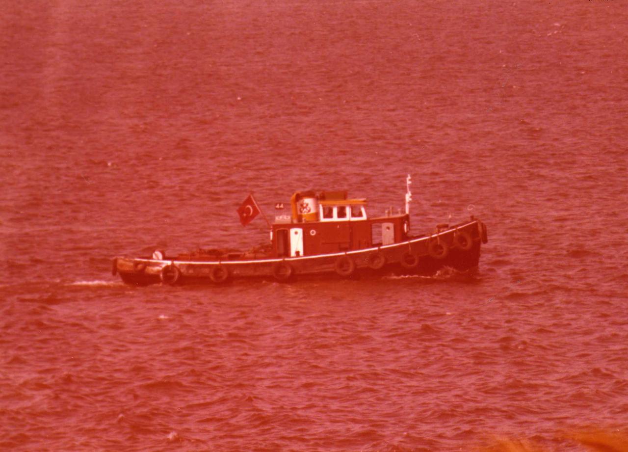 44