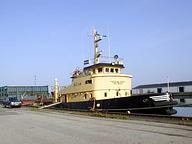 Nereus N