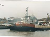 Sea Buffalo
