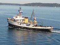 Comanche