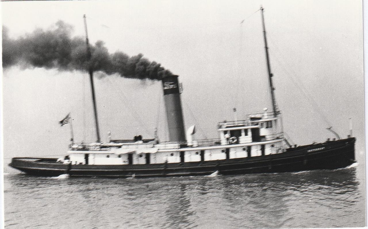 Albatross