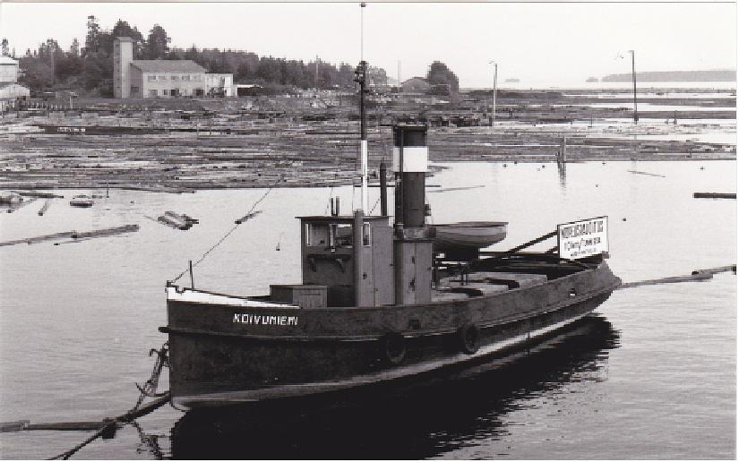 Koivuniemi