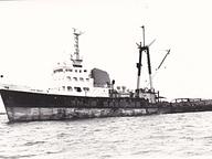 Sebang T 7