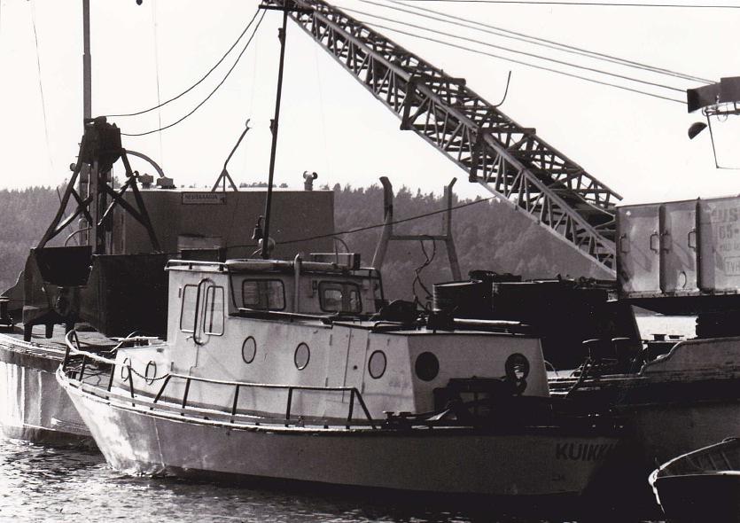 Kuikka
