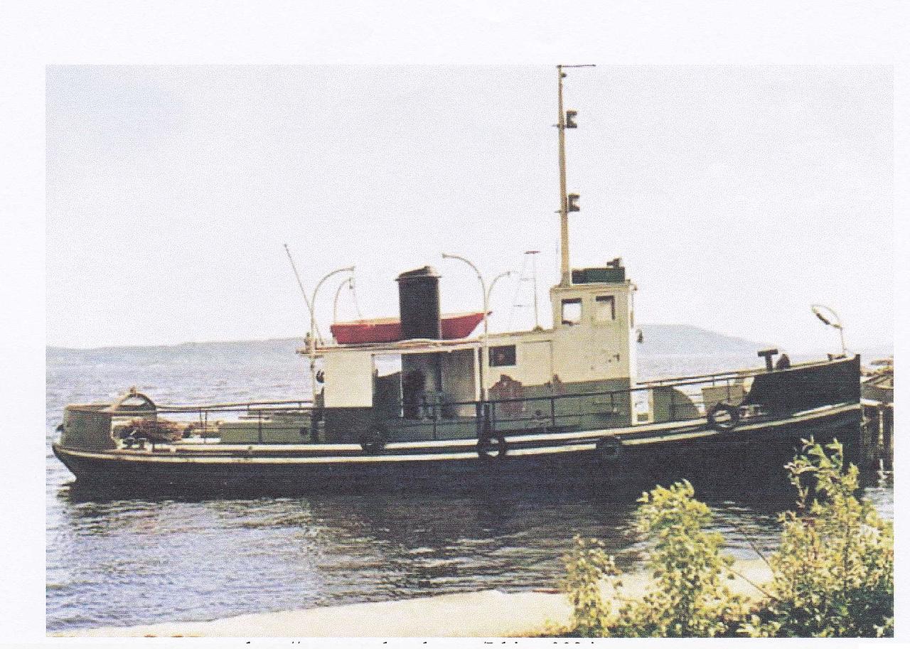 Isbjorn Af Wisby