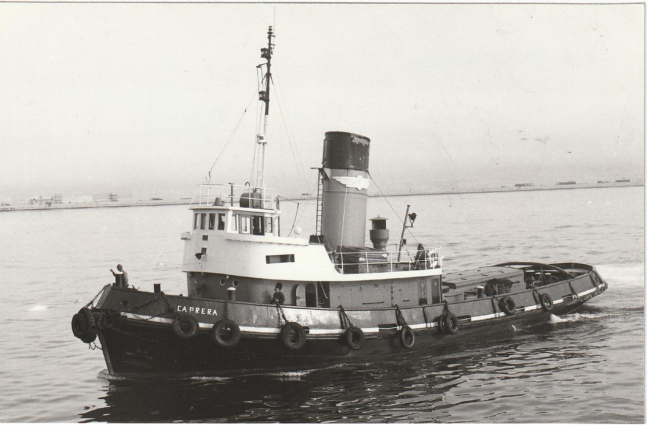 North Light