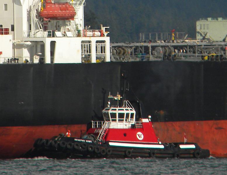 Seaspan Hawk