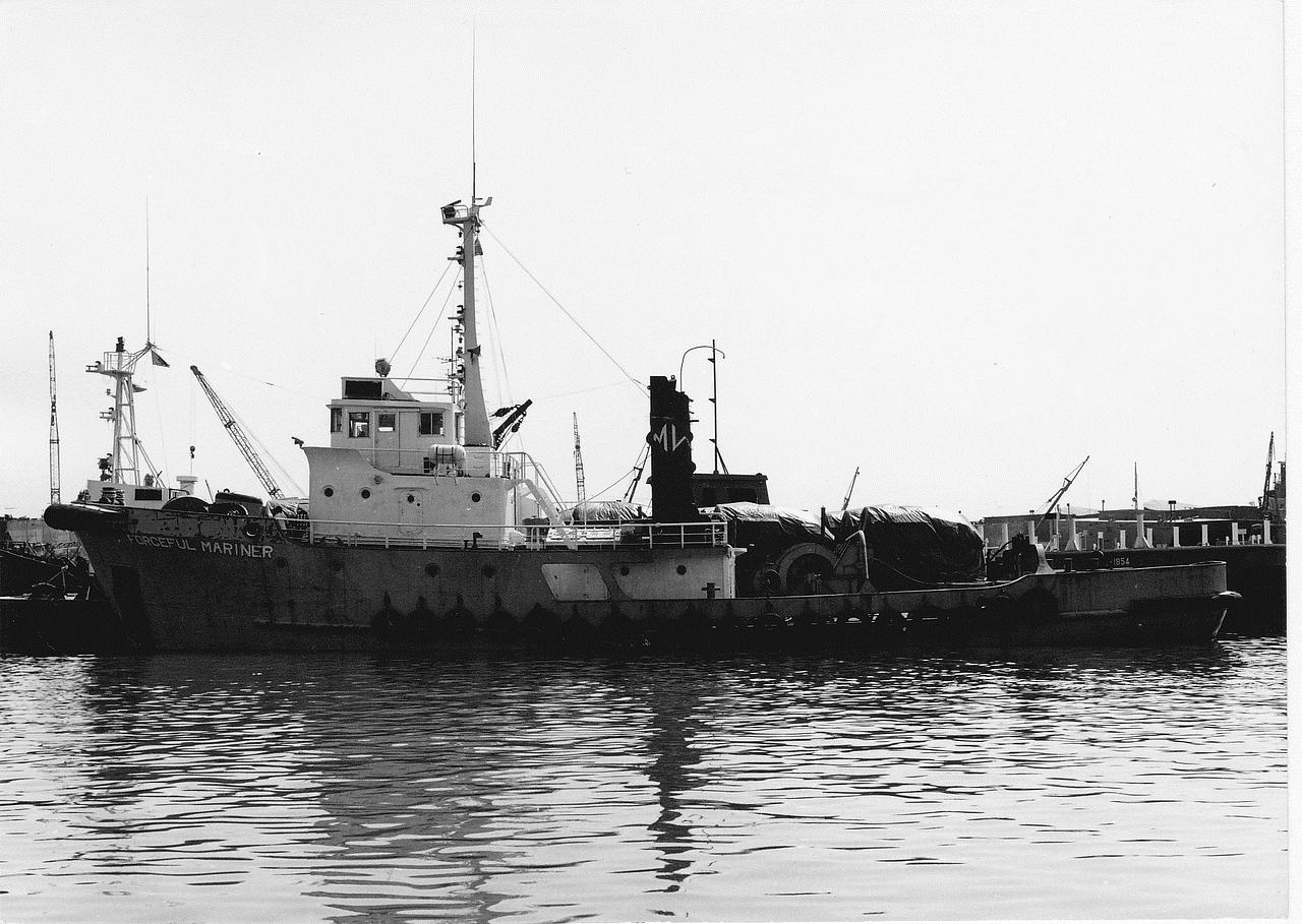 Forceful Mariner