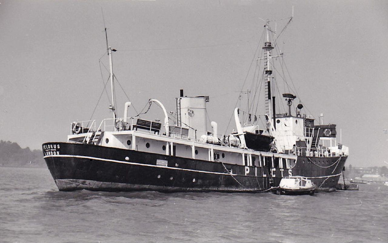 Pelorus