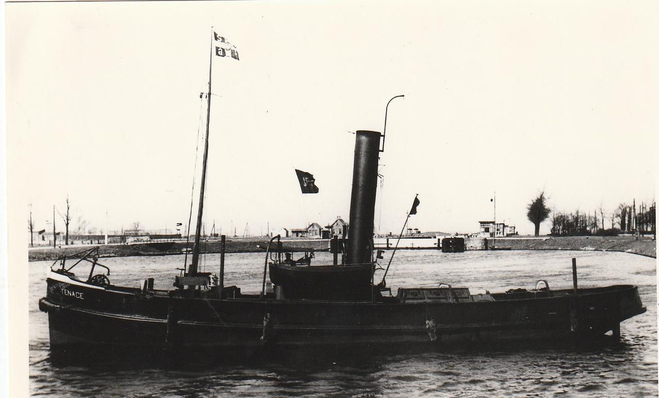 Tenace