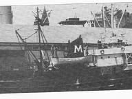 Atlas II