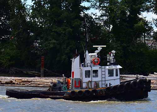 Pacific Tyee
