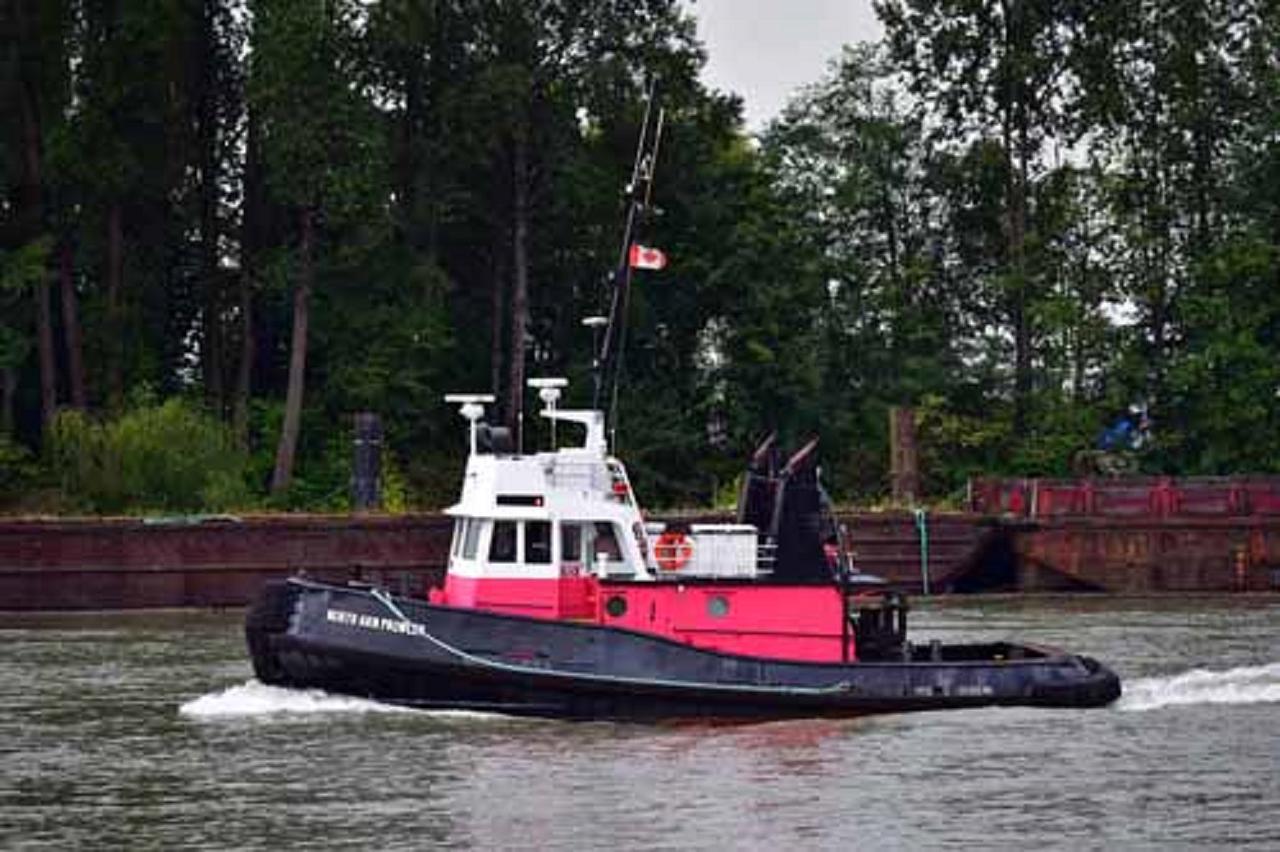 North Arm Prowler