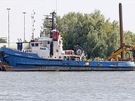 Dynami