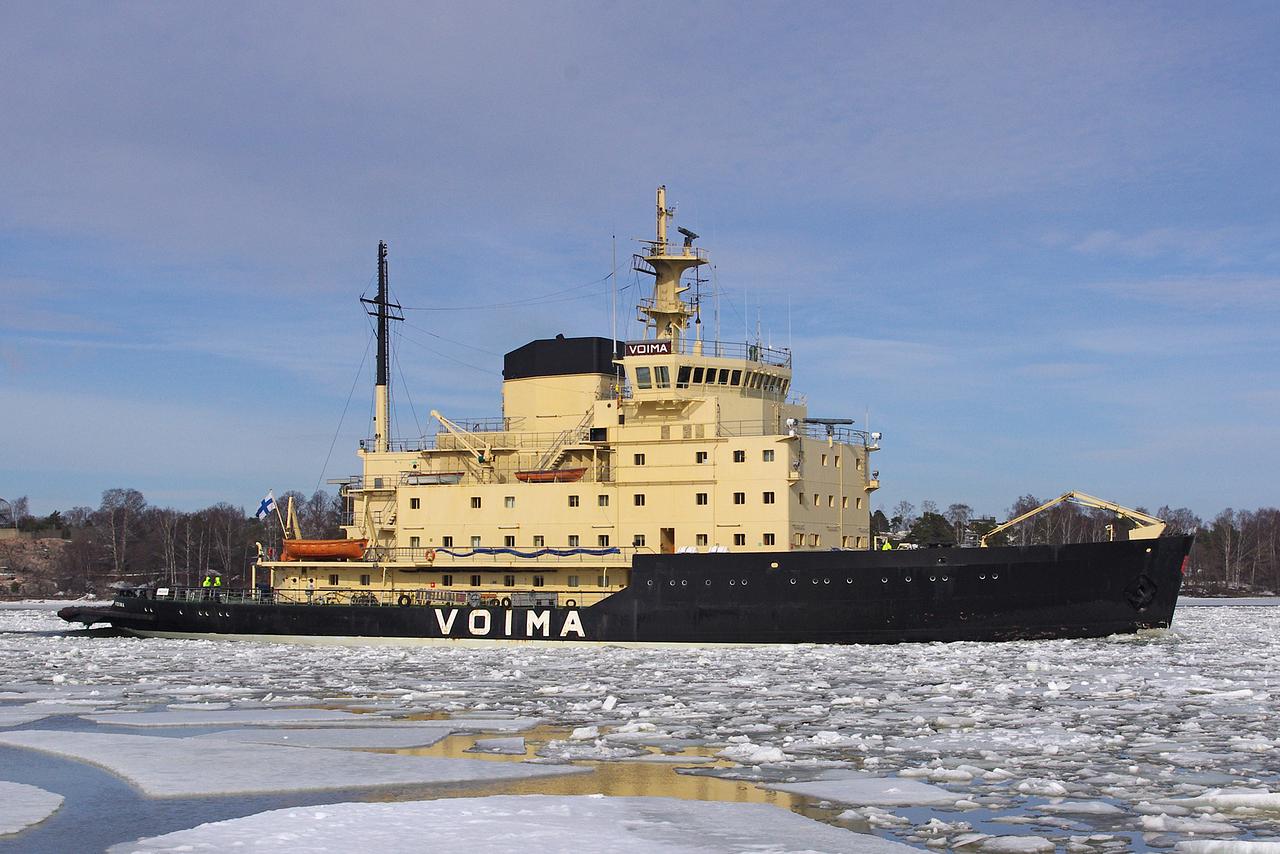 Voima
