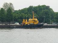 Koral