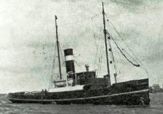 Areferro 31